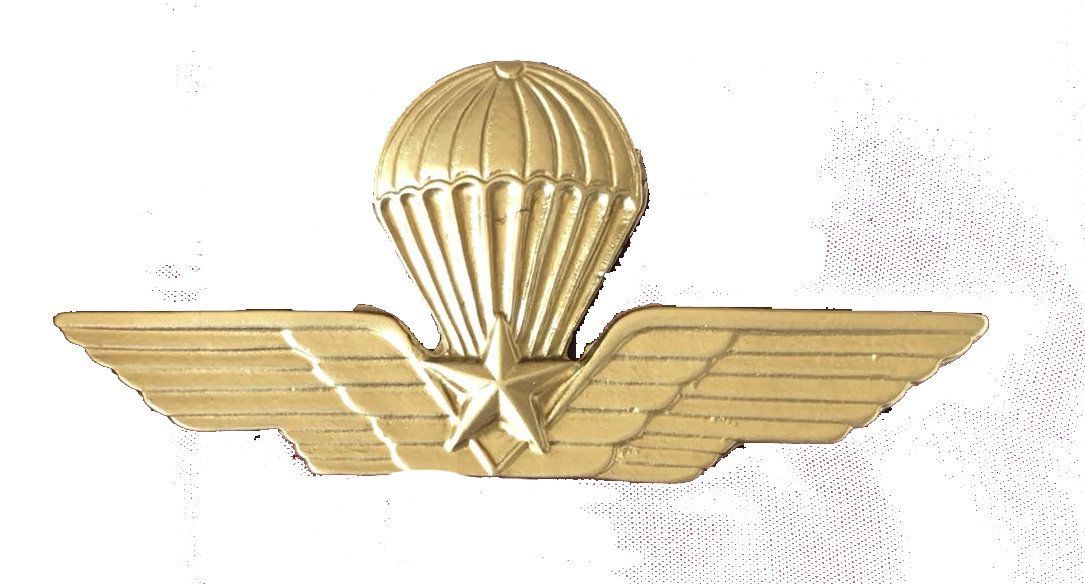 Brevetto_oro_PNG